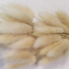 Сухоцвет Лагурус 60шт/пач СВЕТЛО-НАТУРАЛЬНЫЙ