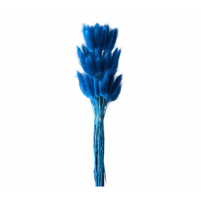 Сухоцвет Лагурус 60шт/пач СПЕЛАЯ ГОЛУБИКА