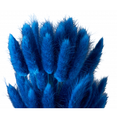 Сухоцвет Лагурус 60шт/пач СПЕЛАЯ ГОЛУБИКА