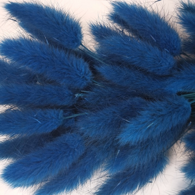 Сухоцвет Лагурус 60шт/пач СПЕЛАЯ ГОЛУБИКА