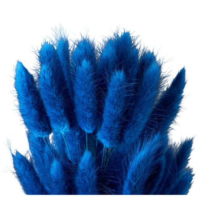 Сухоцвет Лагурус 60шт/пач СПЕЛАЯ ГОЛУБИКА