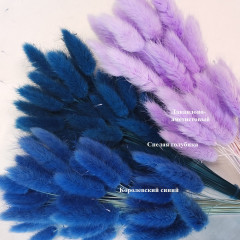 Сухоцвет Лагурус 60шт/пач СПЕЛАЯ ГОЛУБИКА