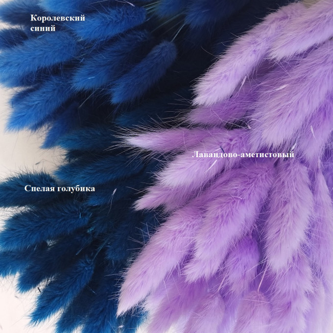 Сухоцвет Лагурус 60шт/пач СПЕЛАЯ ГОЛУБИКА