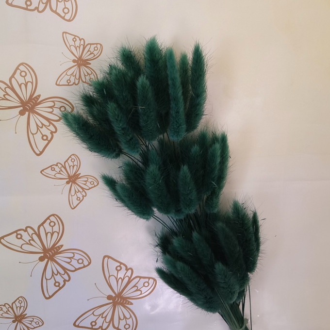 Сухоцвет Лагурус 60шт/пач ТЕМНО-ЗЕЛЕНЫЙ