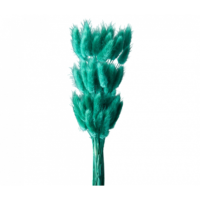 Сухоцвет Лагурус 60шт/пач ТЕМНО-ЗЕЛЕНЫЙ