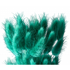 Сухоцвет Лагурус 60шт/пач ТЕМНО-ЗЕЛЕНЫЙ