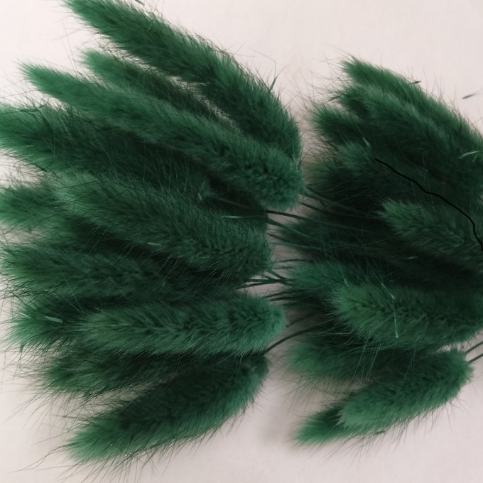 Сухоцвет Лагурус 60шт/пач ТЕМНО-ЗЕЛЕНЫЙ