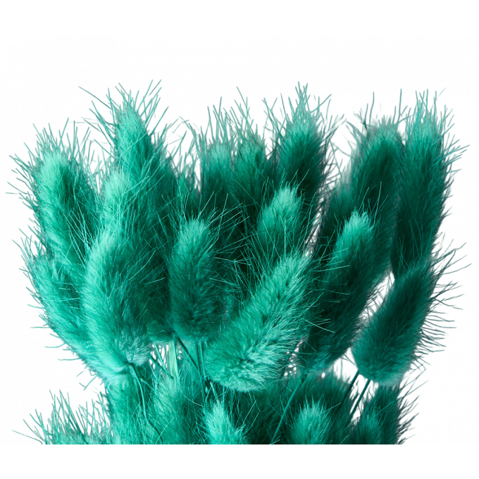 Сухоцвет Лагурус 60шт/пач ТЕМНО-ЗЕЛЕНЫЙ