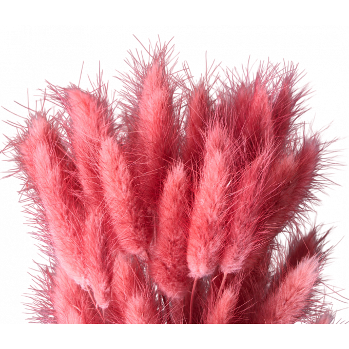 Сухоцвет Лагурус 60шт/пач ЧАЙНАЯ РОЗА