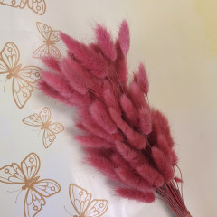 Сухоцвет Лагурус 60шт/пач ЧАЙНАЯ РОЗА