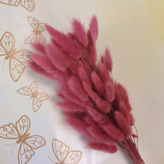 Сухоцвет Лагурус 60шт/пач ЧАЙНАЯ РОЗА