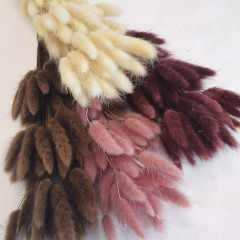 Сухоцвет Лагурус 60шт/пач ШОКОЛАДНЫЙ