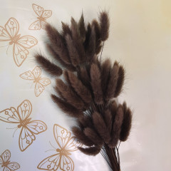 Сухоцвет Лагурус 60шт/пач ШОКОЛАДНЫЙ