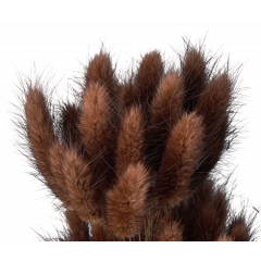 Сухоцвет Лагурус 60шт/пач ШОКОЛАДНЫЙ