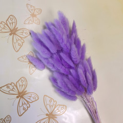 Сухоцвет Лагурус 60шт/пач ЛАВАНДОВО-АМЕТИСТОВЫЙ