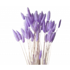 Сухоцвет Лагурус 60шт/пач ЛАВАНДОВО-АМЕТИСТОВЫЙ