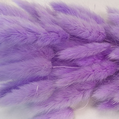 Сухоцвет Лагурус 60шт/пач ЛАВАНДОВО-АМЕТИСТОВЫЙ