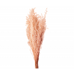 Сухоцвет Лимониум 100гр СВЕТЛО-РОЗОВЫЙ