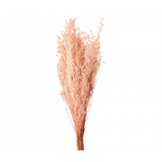 Сухоцвет Лимониум 100гр СВЕТЛО-РОЗОВЫЙ