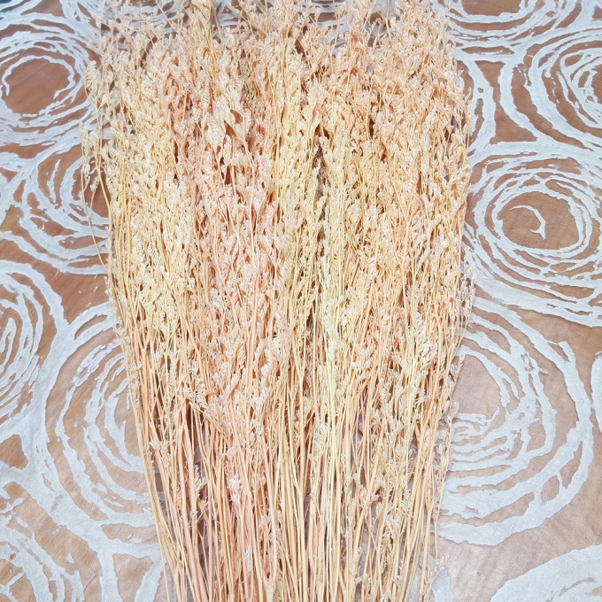 Сухоцвет Лимониум 100гр СВЕТЛО-РОЗОВЫЙ