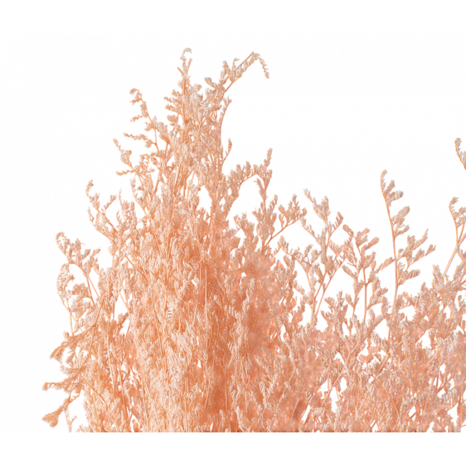 Сухоцвет Лимониум 100гр СВЕТЛО-РОЗОВЫЙ