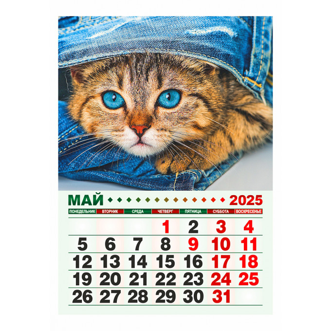 Календарь отрывной на магните "Котята" на 2025 год