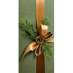 Конверт для денег Без надписи