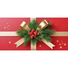 Конверт для денег Без надписи