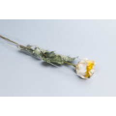 Пакет Конус 15*80 прозр/прозр на 1 розу