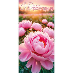 Конверт для денег "С Днём рождения!"