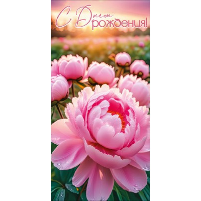 Конверт для денег "С Днём рождения!"