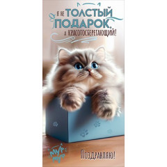 Конверт для денег "Я не ТОЛСТЫЙ ПОДАРОК... Поздравляю!"