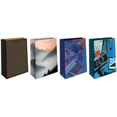 Пакет подарочный 26*32*12 см Мужской Микс (4в*2)