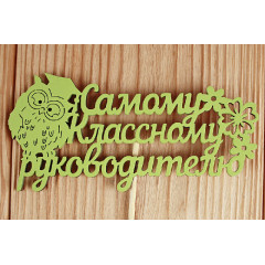 Топпер "Самому классному руководителю" (12*30) МДФ 3мм, окрашен. на шпажке, Салатовый