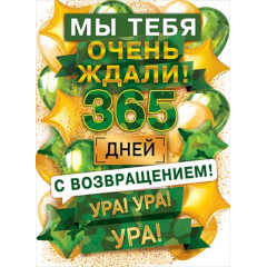 Плакат "Мы тебя очень ждали! 365 дней!"