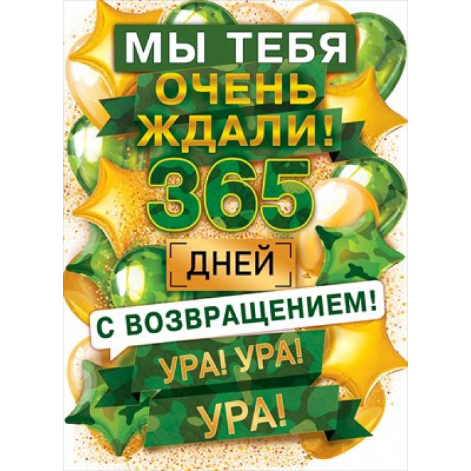 Плакат "Мы тебя очень ждали! 365 дней!"