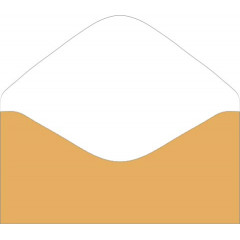 Конверт для денег без надписи