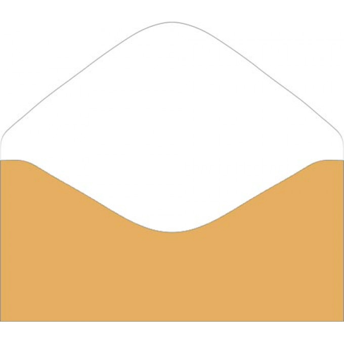 Конверт для денег без надписи