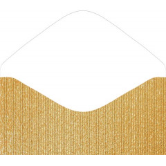 Конверт для денег без надписи