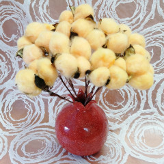 Сухоцвет Хлопок 10шт в 1 букете ОРАНЖЕВЫЙ