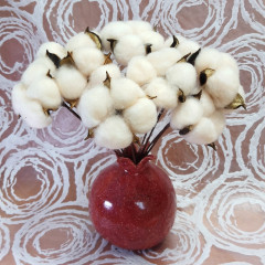 Сухоцвет Хлопок 10шт в 1 букете ПУДРОВЫЙ