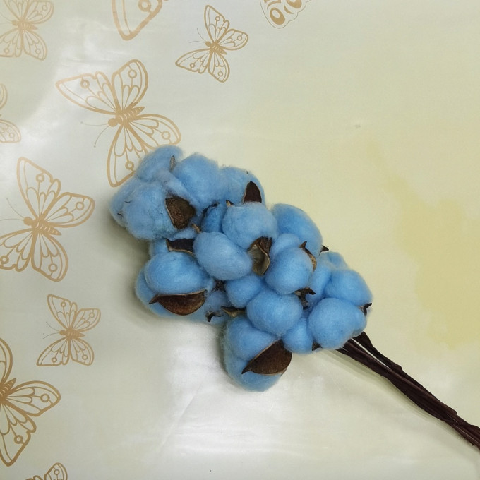 Сухоцвет  Хлопок 10шт в 1 букете ЯРКО-ГОЛУБОЙ