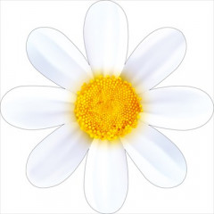 Украшение на скотче "Ромашка"