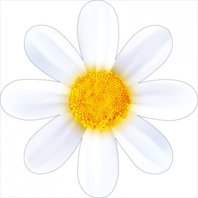 Украшение на скотче "Ромашка"