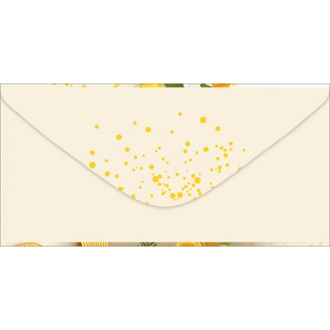 Конверт для денег без надписи