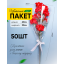 Пакет Конус 30*60 мини Алиса прозр/прозр