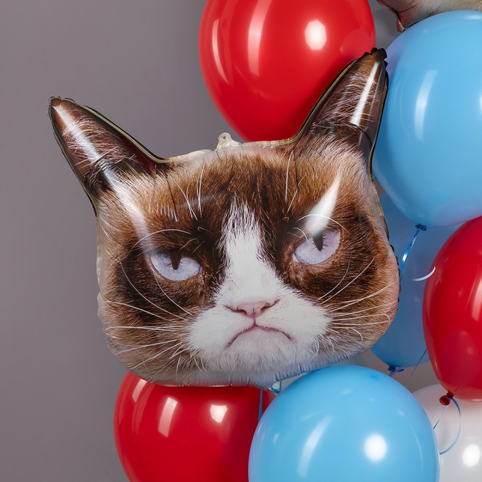 Воздушный шар фольгированный Фигура 26"/66 см Сердитая кошка