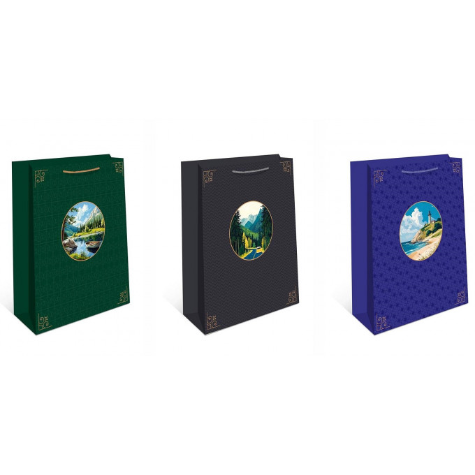 Пакет подарочнный 18*22,3*10 см Микс (3в*2)