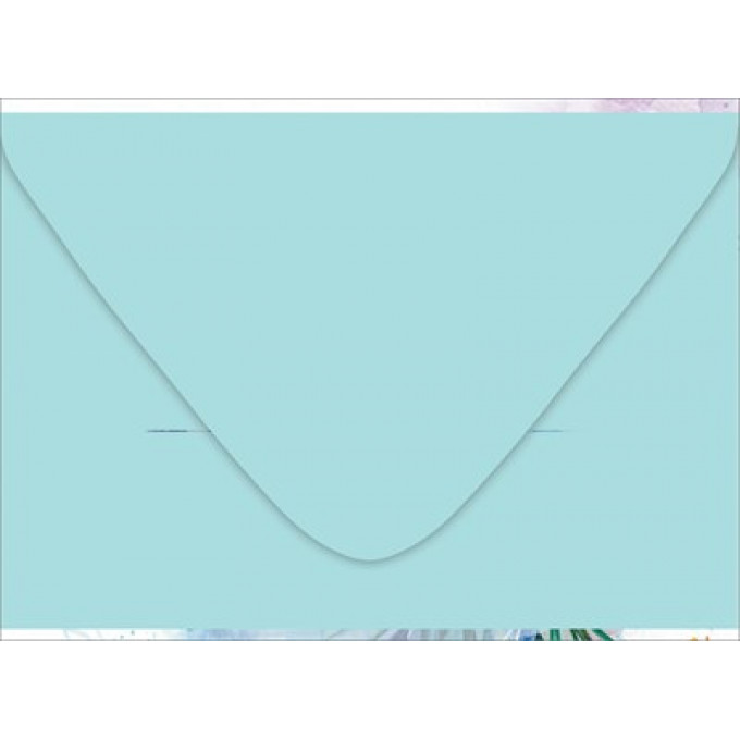 Конверт для подарочного сертификата без надписи (бабочки и цветы)