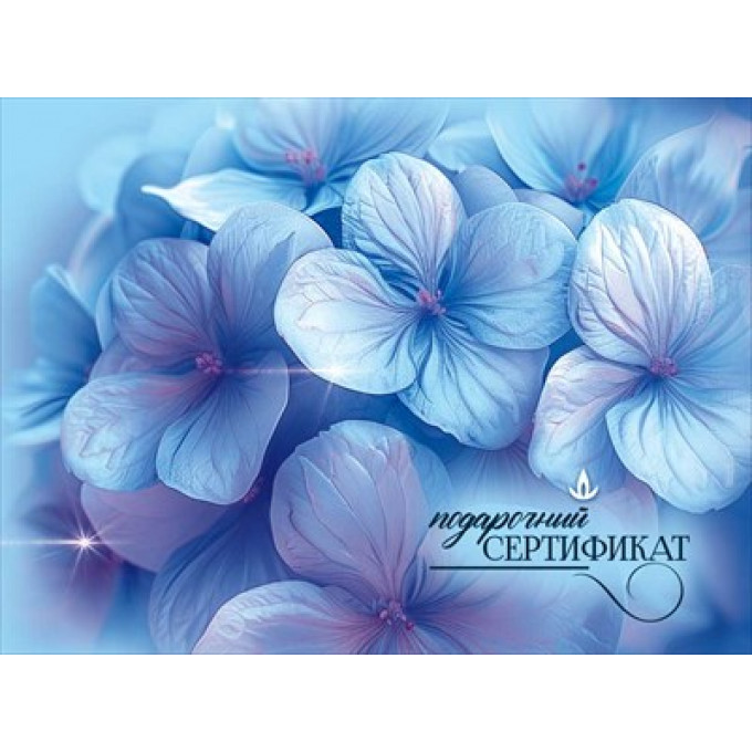 Конверт для подарочного сертификата "Подарочный сертификат"